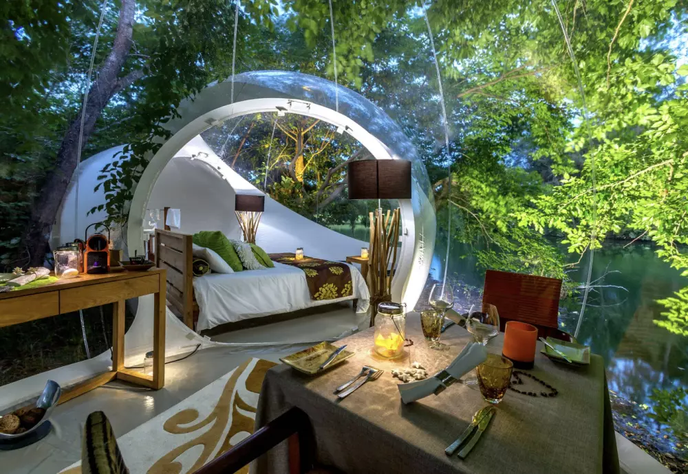 buy bubble tree tent